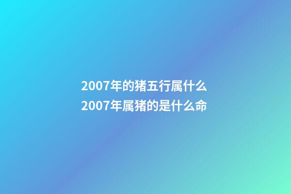 2007年的猪五行属什么 2007年属猪的是什么命-第1张-观点-玄机派